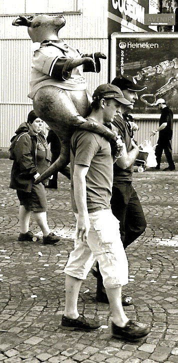 Anybody need a kangaroo?