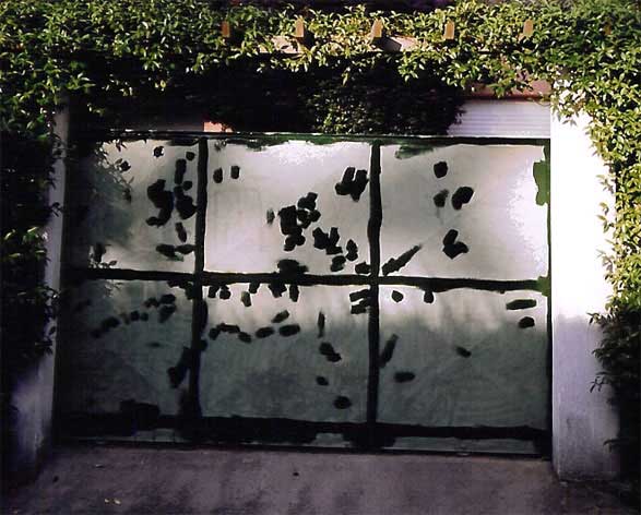 Green spotted door, a rare specimen
