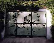Green spotted door, a rare specimen