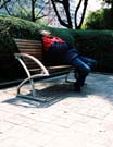 A napper in the Kowloon park