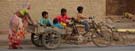 Find a way together to steer and drive India