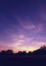 Sunset in Richmond Park