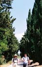 Karen and Kevin strolling between the cypress trees