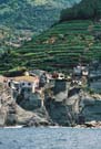 The houses at the bottom hold the vines up; look for the carriage track running up the hillside