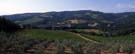 Overlooking our hike: outbound on the left, up the far hillside, down on the right and back up to this vantage point