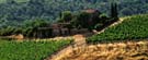 Gorgeous stone house, vines and grass surrounding