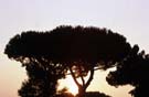 Sunset by the Ciampino airport - not a bad way to wait for Karen and Kevin
