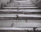 Ancient stairs - how many decades of feet have they seen?