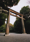 A real torii, the beginning of my exploratory time