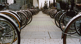 Bikes, bikes, so many bikes