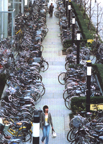 And more bikes, bear with me folks