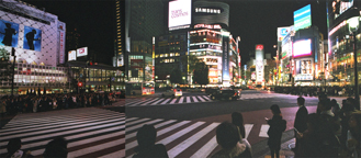 Shibuya intersection, ground level view