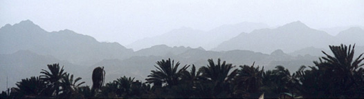 Dahab horizon - jungle to desert, Egypt