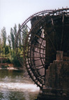 Waterwheels in Hamah, Syria