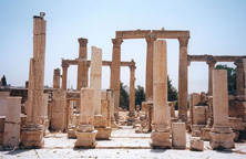 A field of columns, Jerash, Jordan