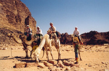 Camel racers, beware! Wadi Rum, Jordan