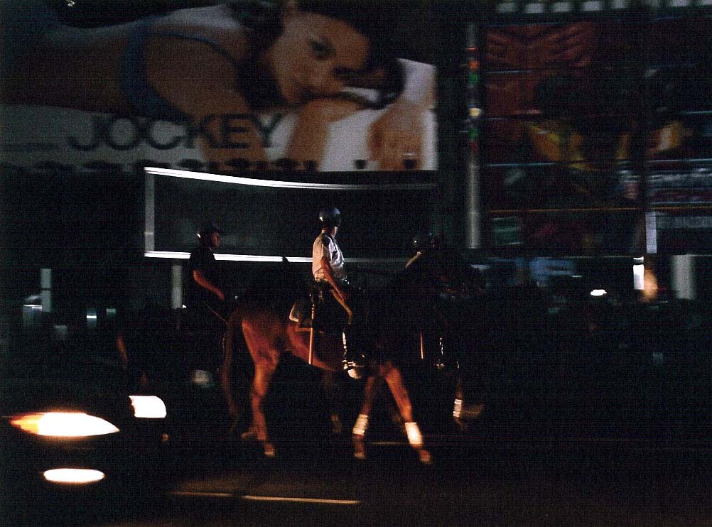 NY mounted police on site