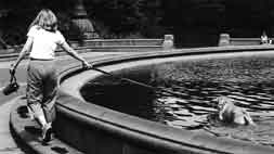 Taking the water dog for a... swim