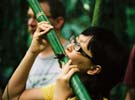 Fish drinking from bamboo