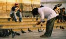 Jorge chasing the pigeons