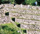 Donny and Veen and Fish powered by Machu Picchu