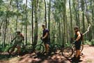 Jim, Marc and Scott enjoying the woods